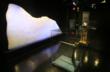 Sci-Port: Louisiana’s Science Center Announces New Exhibition...